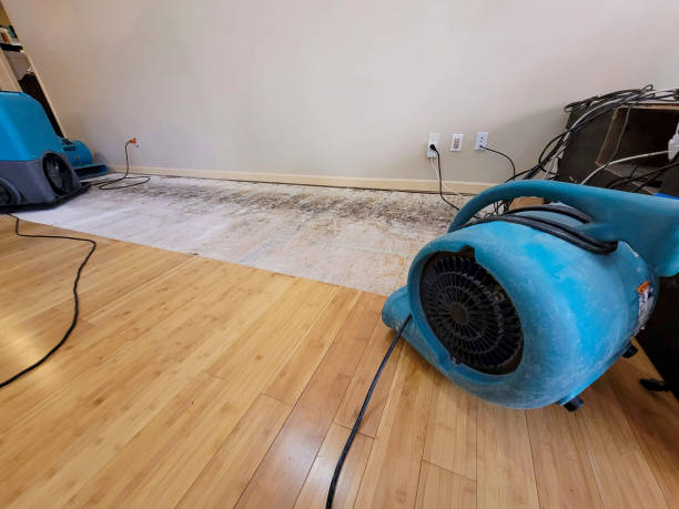 Professional Emergency Water Damage technician working in Davin, WV